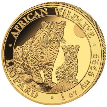 Goldmnze Somalia African Wildlife Leopard 2024 - 1 Unze