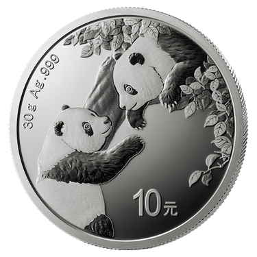 China Panda Silbermünze 10 Yuan 2023 - 19 % - 30 Gramm