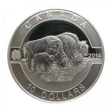 Silbermünze Canada 2014 Bison 1/2 Unze 999 Feinsilber