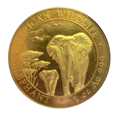 Goldmünze Somalia Elefant 2015 - 1 Unze