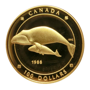 Goldmünze 1/4 Unze 100 Dollar Canada Grönlandwal 1988 polierte Platte mit Etui und Zertifikat