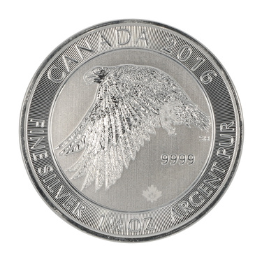 Silbermünze Kanada Schneefalke 2016 - 1 1/2 Unze