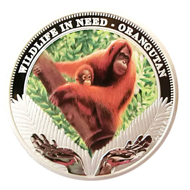 Silbermünze Wildlife in Need Orangutan 2011 - 1 Unze PP