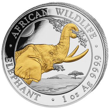 Silbermünze Somalia Elefant 2023 - 1 Unze gilded