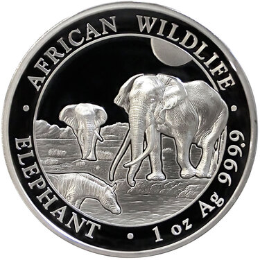 Silbermünze Somalia Elefant 2026 - High Relief - 1 Unze Feinsilber