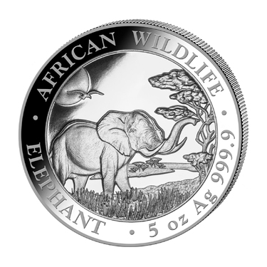 Silbermnze Somalia Elefant 2019 - 5 Unzen