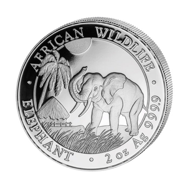 Silbermnze Somalia Elefant 2018 - 2 Unzen