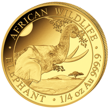 Goldmünze Somalia Elefant 2023 - 1/4 Unze