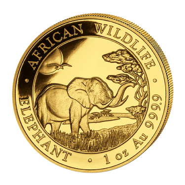 Goldmünze Somalia Elefant 2019 - 1 Unze
