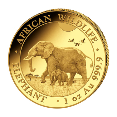 Goldmünze Somalia Elefant 2022 - 1 Unze