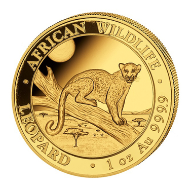 Goldmünze Somalia African Wildlife Leopard 2021 1 Unze