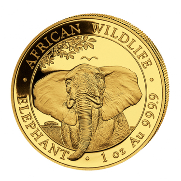 Goldmünze Somalia Elefant 2021 - 1 Unze