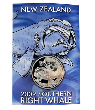Silbermünze Neuseeland Right Whale 2009 im Blister - 1 Unze 999 Feinsilber